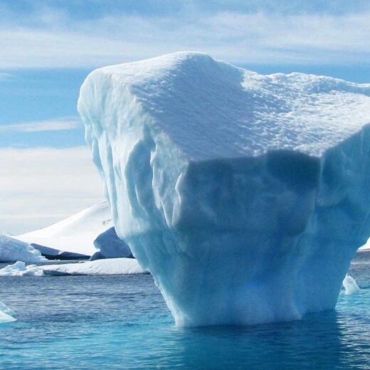 mediale-faehigkeiten