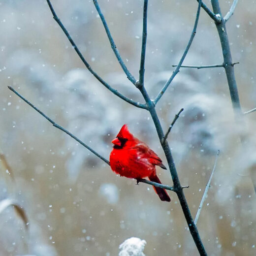 zeichen aus dem jenseits