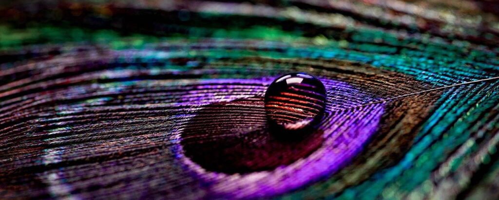 zeichen aus der geistigen welt